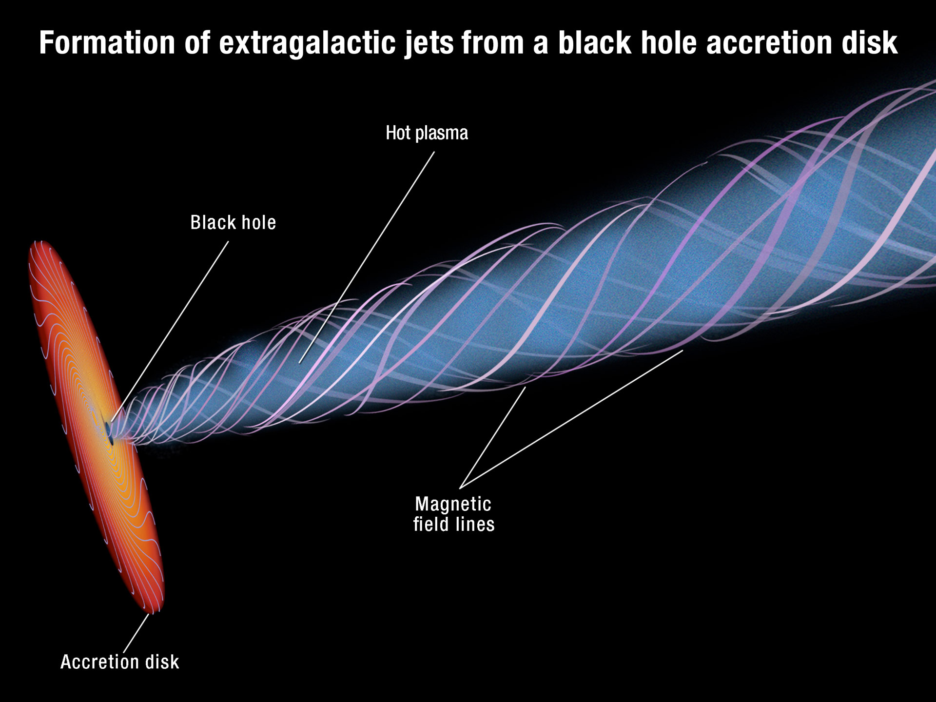 Black hole jet